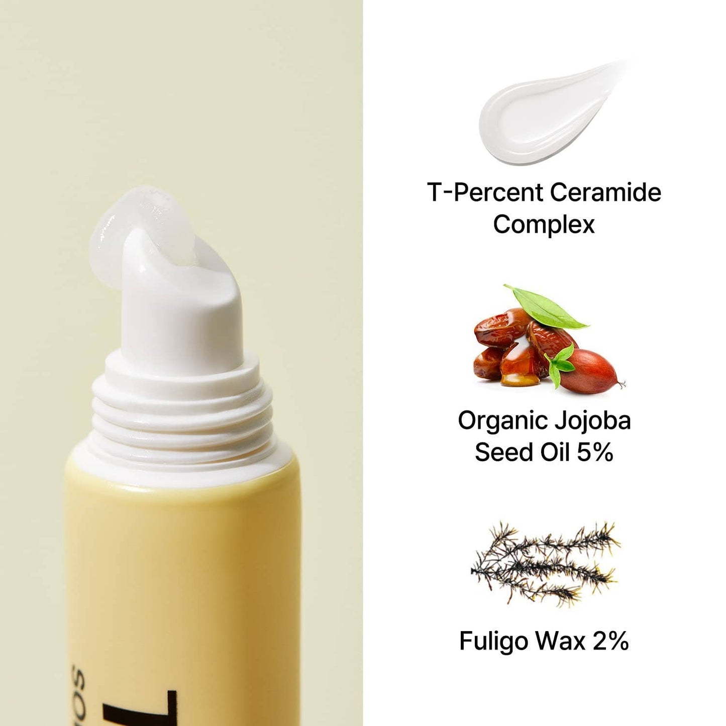 Torriden
SOLID-IN Ceramide Lip Essence 11ml